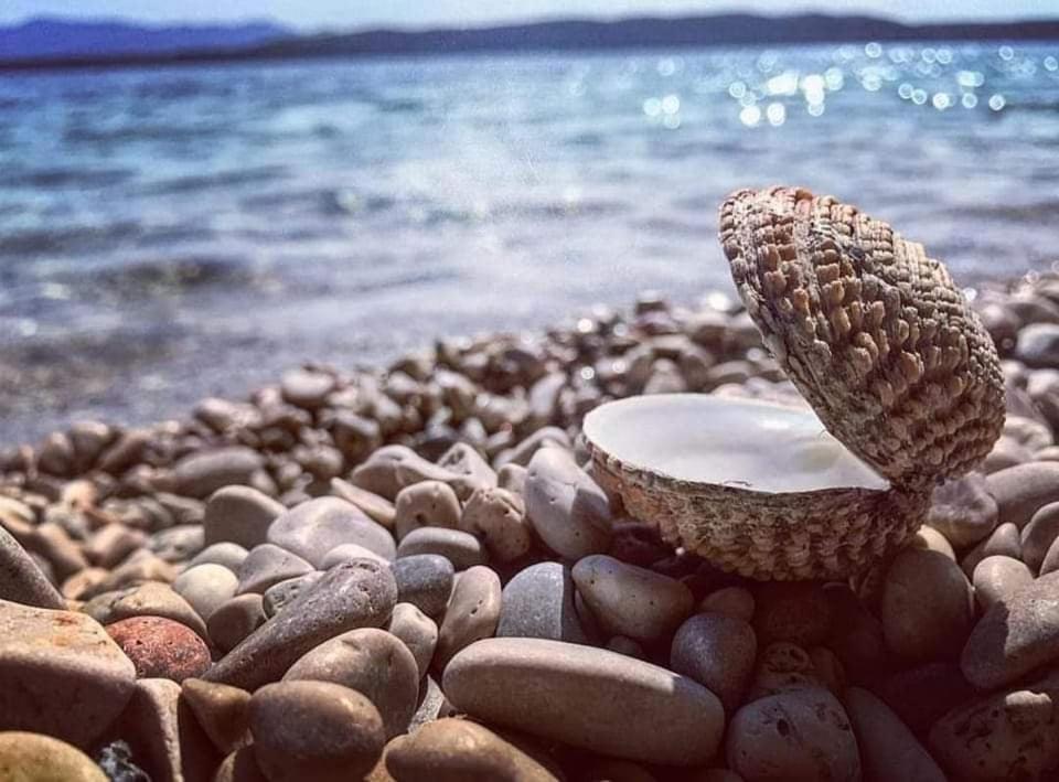 Apartmaji Soncek Izola Exteriör bild