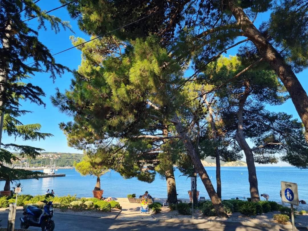 Apartmaji Soncek Izola Exteriör bild