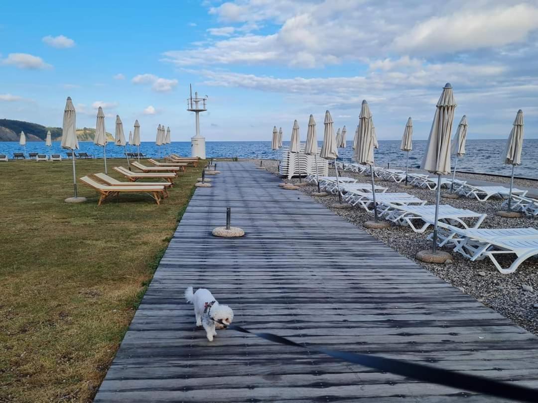 Apartmaji Soncek Izola Exteriör bild