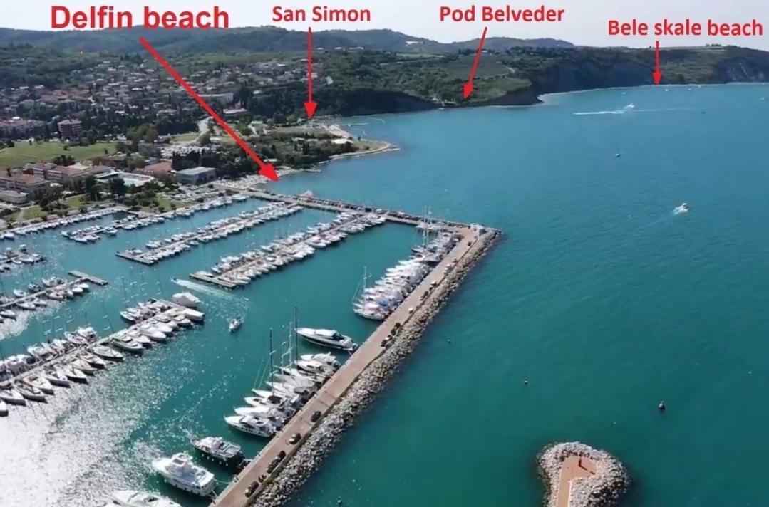 Apartmaji Soncek Izola Rum bild