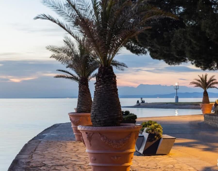 Apartmaji Soncek Izola Exteriör bild